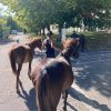 Images de profil de Eileen - Blooming Pets - Petsitting et garde d'animaux à domicile