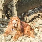 Image de profil de Nelly - Blooming Pets - Petsitting et garde d'animaux à domicile