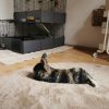 Images de profil de Marine - Blooming Pets - Petsitting et garde d'animaux à domicile