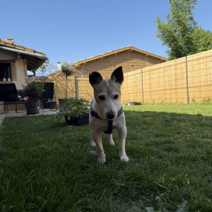 Images de profil de Mathilde - Blooming Pets - Petsitting et garde d'animaux Ă domicile