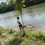 Image de profil de Djahmal - Blooming Pets - Petsitting et garde d'animaux à domicile