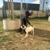 Images de profil de Djahmal - Blooming Pets - Petsitting et garde d'animaux à domicile
