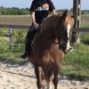 Images de profil de Pauline - Blooming Pets - Petsitting et garde d'animaux à domicile