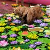 Images de profil de Nathalie - Blooming Pets - Petsitting et garde d'animaux à domicile