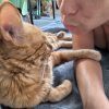Images de profil de Clara Sofia - Blooming Pets - Petsitting et garde d'animaux à domicile
