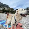 Images de profil de Clara Sofia - Blooming Pets - Petsitting et garde d'animaux à domicile