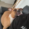 Images de profil de solenn - Blooming Pets - Petsitting et garde d'animaux à domicile
