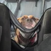 Images de profil de solenn - Blooming Pets - Petsitting et garde d'animaux à domicile