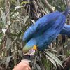 Images de profil de Pauline - Blooming Pets - Petsitting et garde d'animaux à domicile