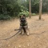Images de profil de Pauline - Blooming Pets - Petsitting et garde d'animaux à domicile