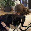 Images de profil de raphaelle - Blooming Pets - Petsitting et garde d'animaux à domicile