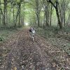 Images de profil de Emma - Blooming Pets - Petsitting et garde d'animaux à domicile