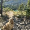Images de profil de Valentine - Blooming Pets - Petsitting et garde d'animaux à domicile