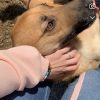 Images de profil de Ludivine - Blooming Pets - Petsitting et garde d'animaux à domicile