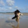Images de profil de Emilie - Blooming Pets - Petsitting et garde d'animaux à domicile