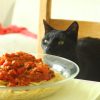 Images de profil de Christelle - Blooming Pets - Petsitting et garde d'animaux à domicile