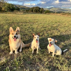 Images de profil de Kim Anne - Blooming Pets - Petsitting et garde d'animaux à domicile