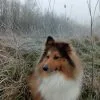 Images de profil de Angèle - Blooming Pets - Petsitting et garde d'animaux à domicile