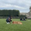 Images de profil de Ny Ando - Blooming Pets - Petsitting et garde d'animaux à domicile