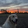 Images de profil de Celia - Blooming Pets - Petsitting et garde d'animaux à domicile