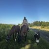 Images de profil de Celia - Blooming Pets - Petsitting et garde d'animaux à domicile