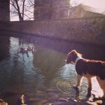 Image de profil de Adele - Blooming Pets - Petsitting et garde d'animaux à domicile