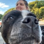 Image de profil de Alexia - Blooming Pets - Petsitting et garde d'animaux à domicile