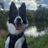 Images de profil de Marie - Blooming Pets - Petsitting et garde d'animaux à domicile