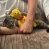 Images de profil de Bryan - Blooming Pets - Petsitting et garde d'animaux à domicile