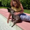 Images de profil de Myriam - Blooming Pets - Petsitting et garde d'animaux à domicile