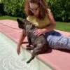 Images de profil de Myriam - Blooming Pets - Petsitting et garde d'animaux à domicile