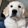 Images de profil de Myriam - Blooming Pets - Petsitting et garde d'animaux à domicile