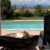 Images de profil de Myriam - Blooming Pets - Petsitting et garde d'animaux à domicile