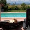 Images de profil de Myriam - Blooming Pets - Petsitting et garde d'animaux à domicile