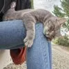 Images de profil de Aurélie - Blooming Pets - Petsitting et garde d'animaux à domicile