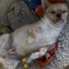 Images de profil de Natty - Blooming Pets - Petsitting et garde d'animaux à domicile
