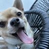 Images de profil de Natty - Blooming Pets - Petsitting et garde d'animaux à domicile