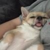 Images de profil de Natty - Blooming Pets - Petsitting et garde d'animaux à domicile