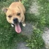 Images de profil de Marion - Blooming Pets - Petsitting et garde d'animaux à domicile