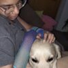 Images de profil de Emmanuelle - Blooming Pets - Petsitting et garde d'animaux à domicile