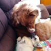 Images de profil de Emmanuelle - Blooming Pets - Petsitting et garde d'animaux à domicile