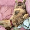 Images de profil de Emmanuelle - Blooming Pets - Petsitting et garde d'animaux à domicile