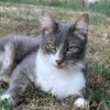 Images de profil de Camille - Blooming Pets - Petsitting et garde d'animaux à domicile