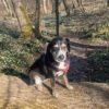 Images de profil de Caroline - Blooming Pets - Petsitting et garde d'animaux à domicile