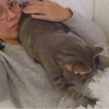 Images de profil de Nathalie - Blooming Pets - Petsitting et garde d'animaux à domicile