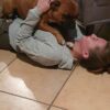 Images de profil de sarah - Blooming Pets - Petsitting et garde d'animaux à domicile