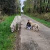 Images de profil de Olivia - Blooming Pets - Petsitting et garde d'animaux à domicile