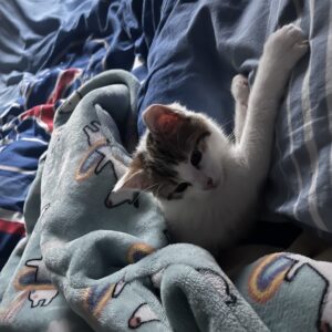 Images de profil de Léa - Blooming Pets - Petsitting et garde d'animaux à domicile