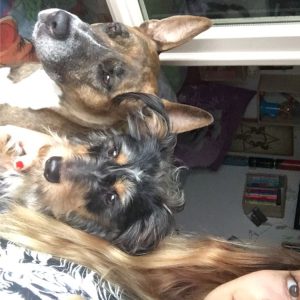 Images de profil de Chinault - Blooming Pets - Petsitting et garde d'animaux à domicile