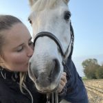 ANGELO   Connemara Hongre - Garde d'animaux à domicile